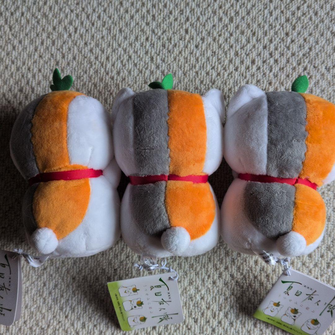 激レア　劇場版　 夏目友人帳　トリプルニャンコ先生　うつせみに結ぶ　新品タグ付き
