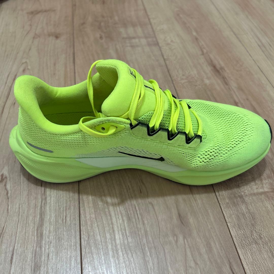 Nike ペガサス41