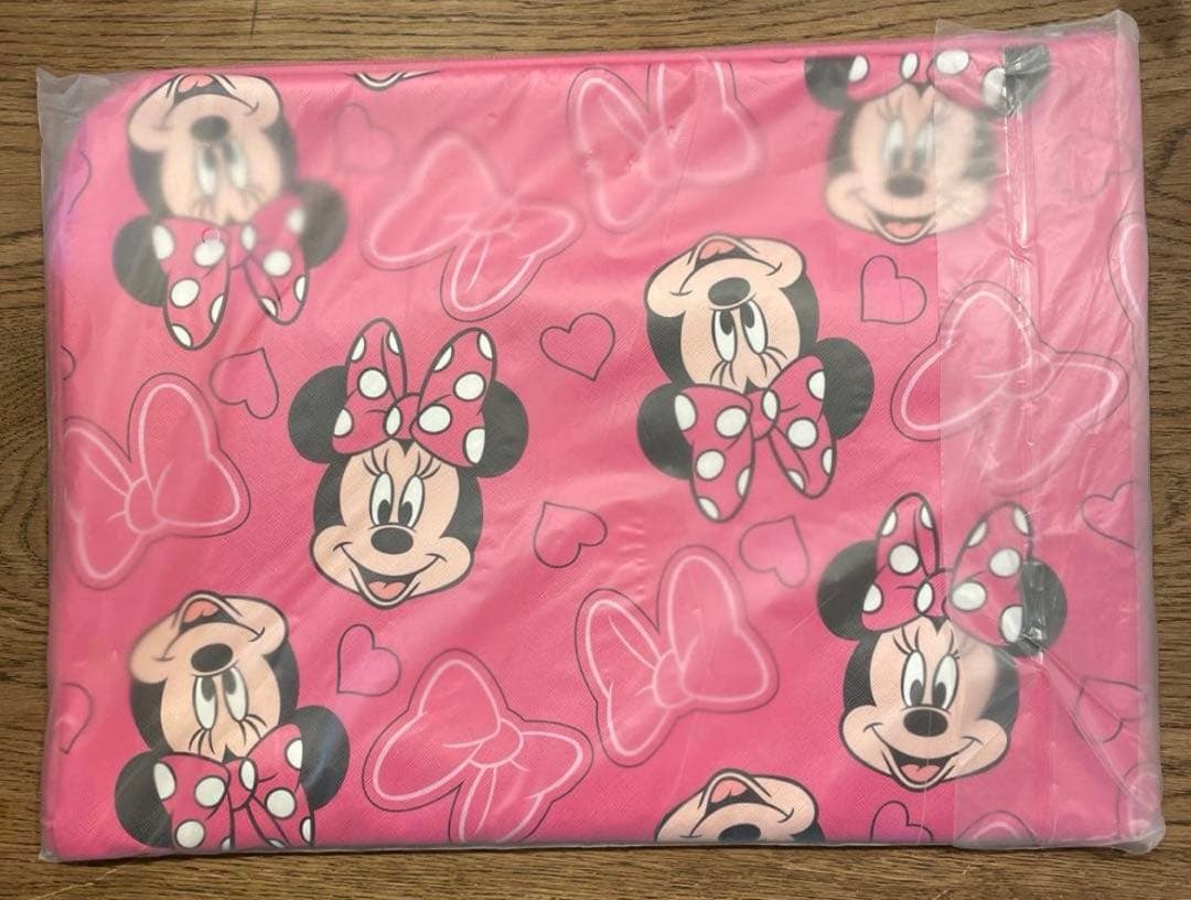 plaza✖️Disney ミニーマウス ガジェットケース Lサイズ