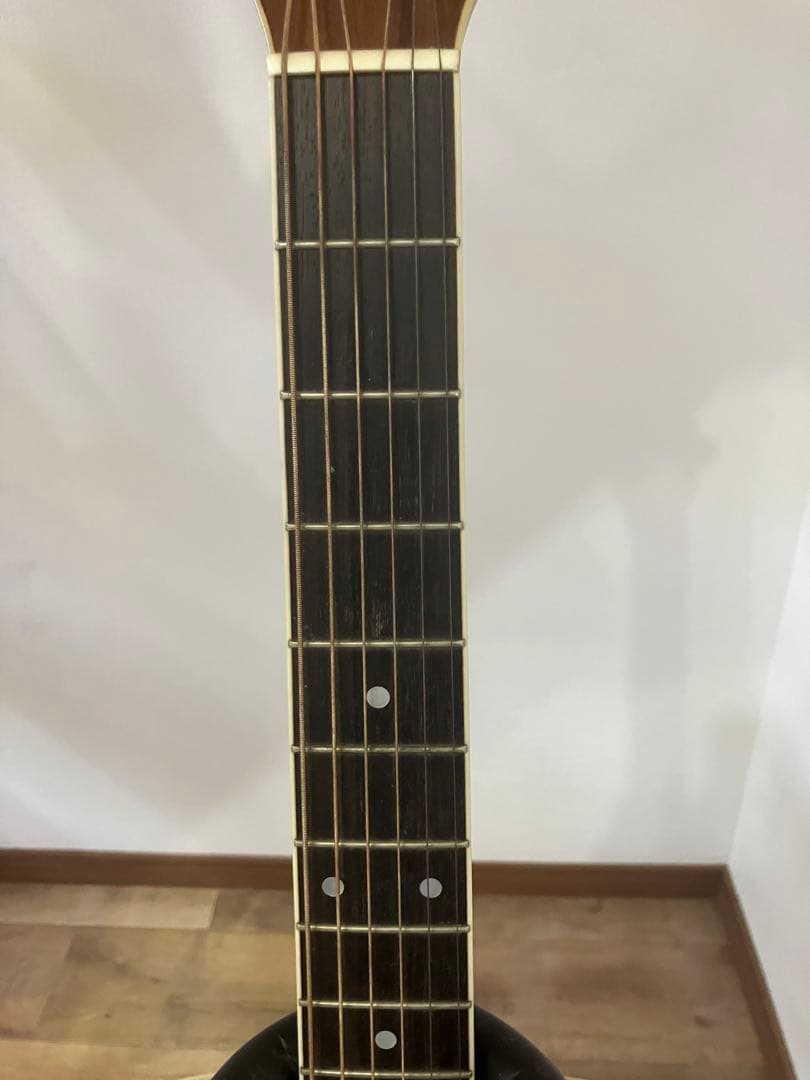 【Morris/モーリス】アコースティックギター MD-515