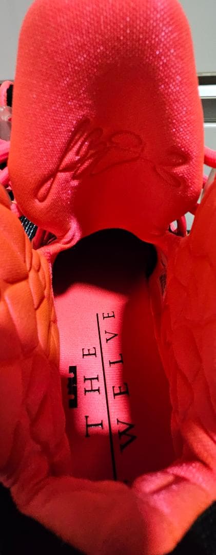 新品未使用Nike LeBron XII ELITE 12 31cm