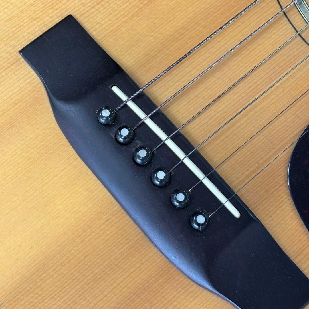 MORRIS モーリス アコースティックギター SPECIAL ケース B186