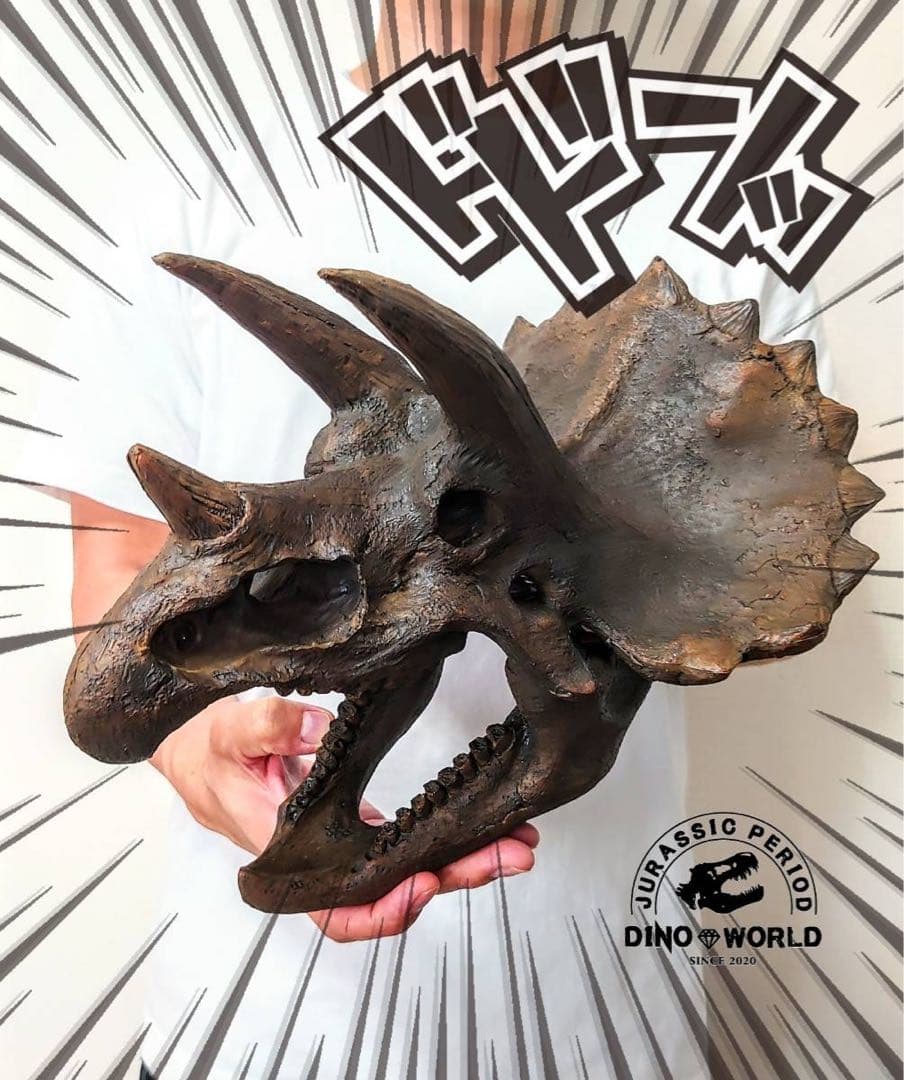 お得な２個セット！ ティラノサウルス 化石 インテリア 雑貨 オブジェ