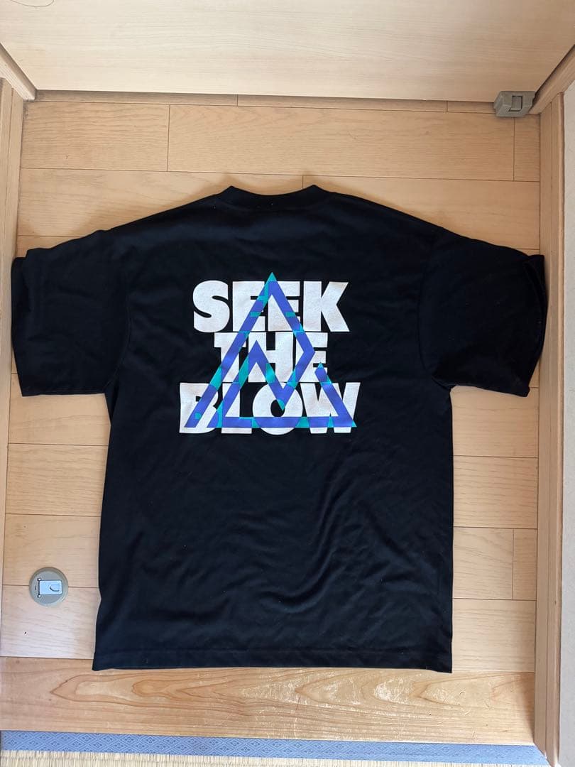 RAID JAPAN TRIANGLE STB TEE 黒 M レイドジャパン