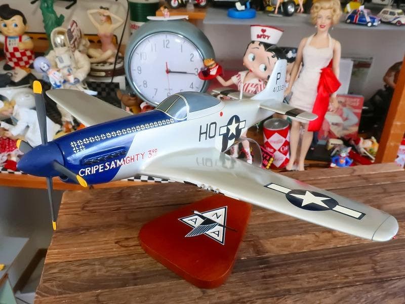 木製飛行機模型 40cm マスタングP-51 クリプスマイティ1/48