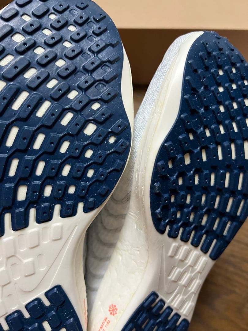 【新品未使用】NIKE ペガサスターボネクストネイチャー25cm