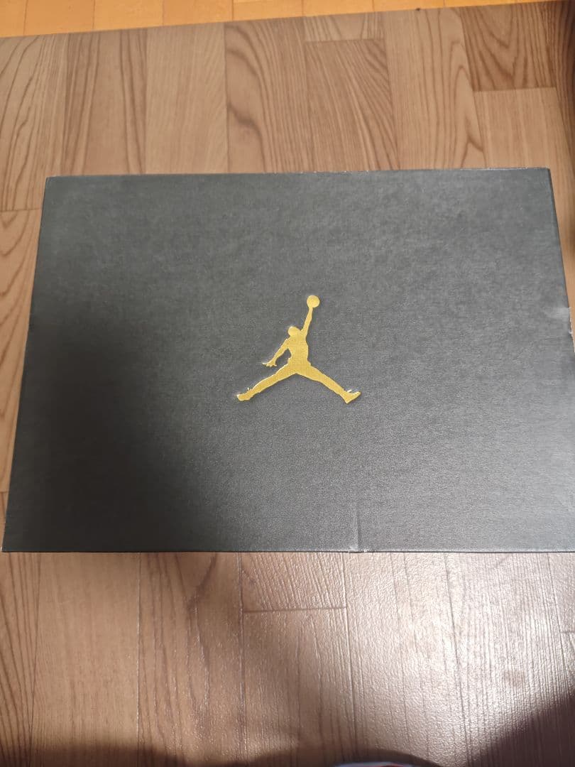 Air Jordan 6 レトロ　ゴルフシューズ