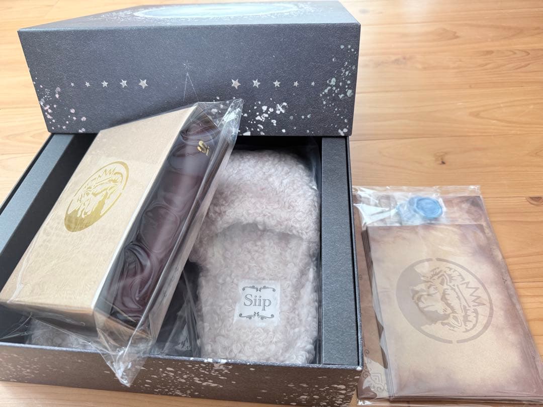【期間限定セール】Siip ガイア　完全生産限定盤グッズのみ(⚠️カードなし)