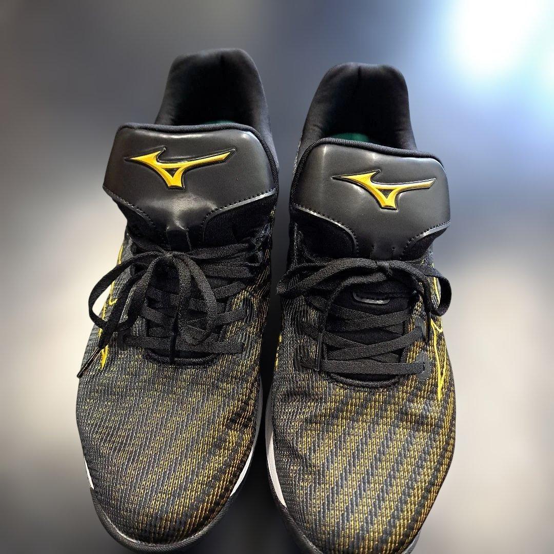 Mizuno Pro ランニングシューズ ミズノプロトレーニングシューズ28cm