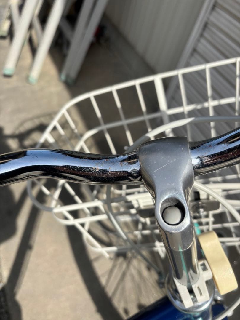 愛知県　直接引渡し限定　子供用自転車 ブリジストン　24型　ワイルドベリー