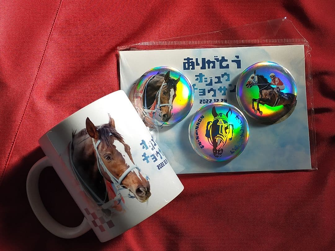 ②◆　競馬　JRA　◆オジュウチョウサン◆引退記念グッズ◆マグカップ　缶バッチ◆