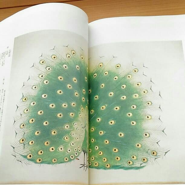 近代日本画の図録　美術館図録