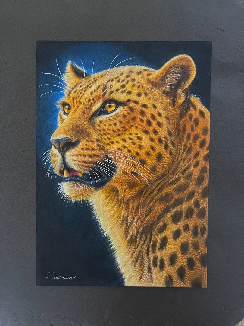 色鉛筆画A4 ヒョウ.22