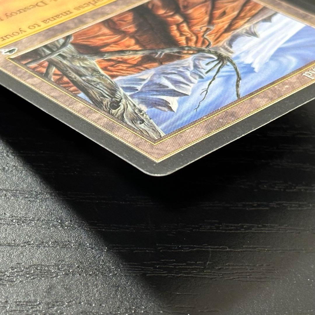 MTG 不毛の大地 英語 初版 2枚