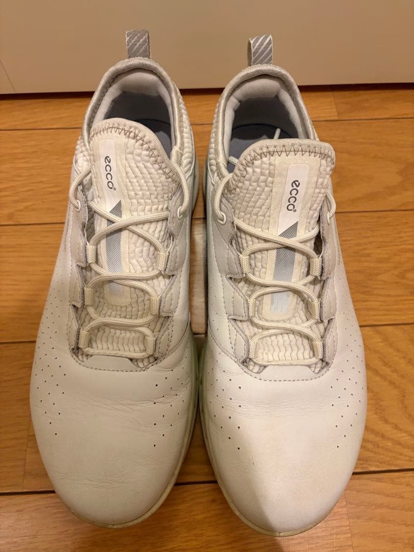 ecco バイオム C4 BIOM サイズ42