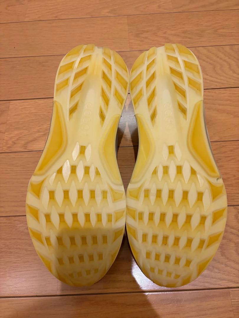 ecco バイオム C4 BIOM サイズ42