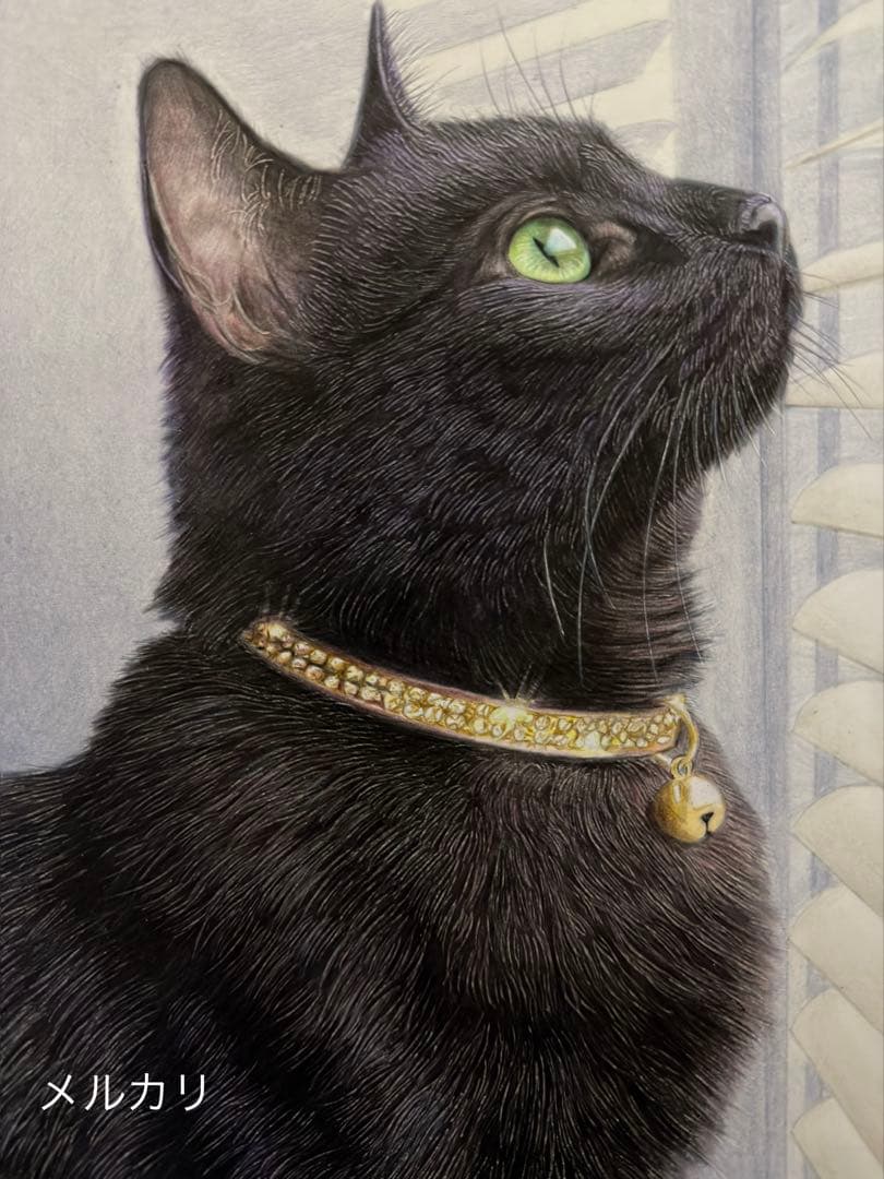 色鉛筆画 A4光を見つめる黒猫