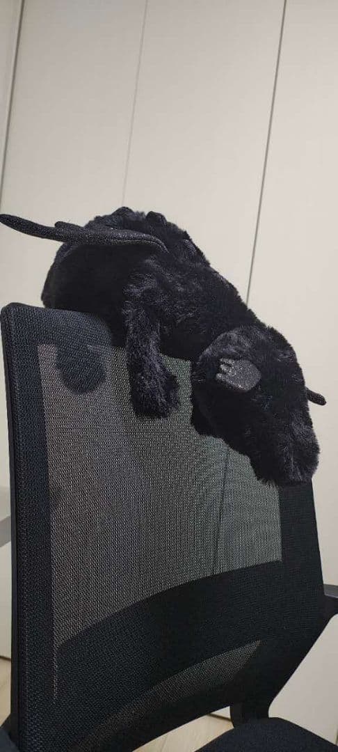 新品 jelly cat Onyx Dragon 黒いドラゴンぬいぐるみ