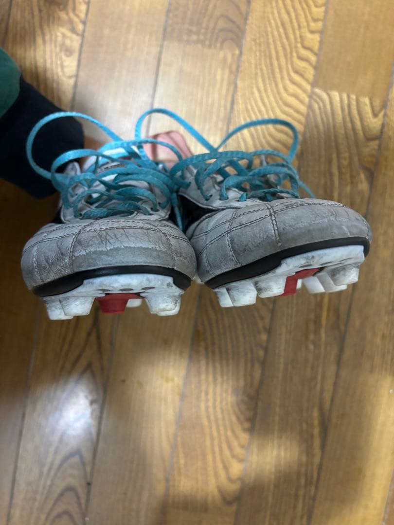 MIZUNO MORELIA Ⅱ JAPAN AG 25.0cm