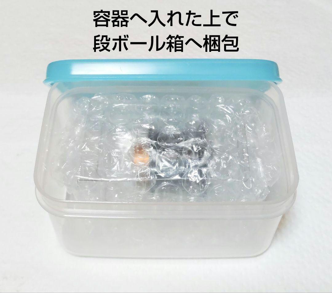 ダイワ 25スティーズ LTD CT SV TW用 純正スプール／新品取り外し品