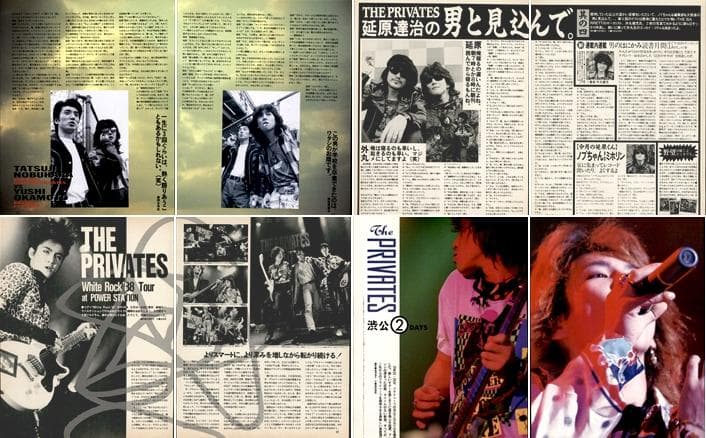 THE PRIVATES ザ・プライベーツ 雑誌 切り抜き 220P ★延原達治