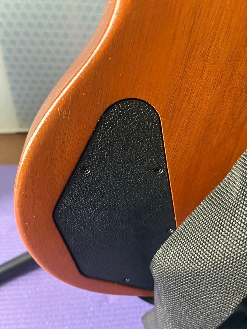 Gibson SG Special エレキギター 2018年製