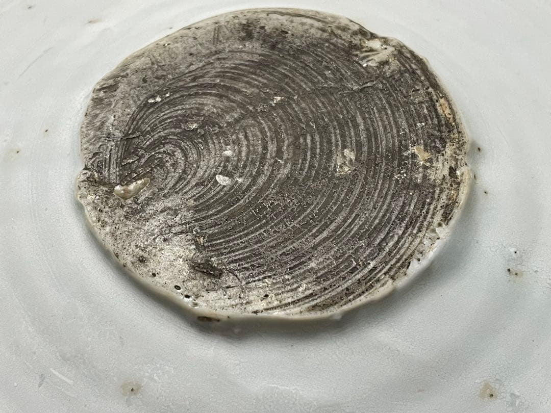 古染付 青花人物図 大皿 新渡 中国古美術 時代物