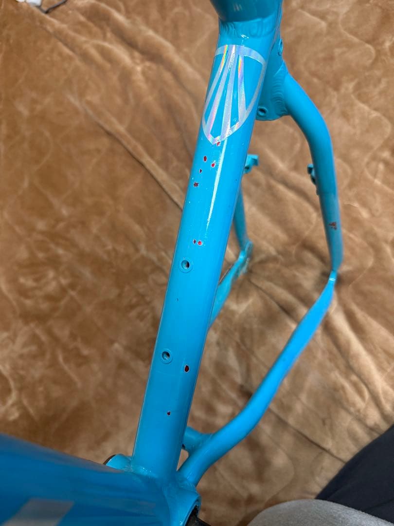 TREK 4600? フレーム 再塗装