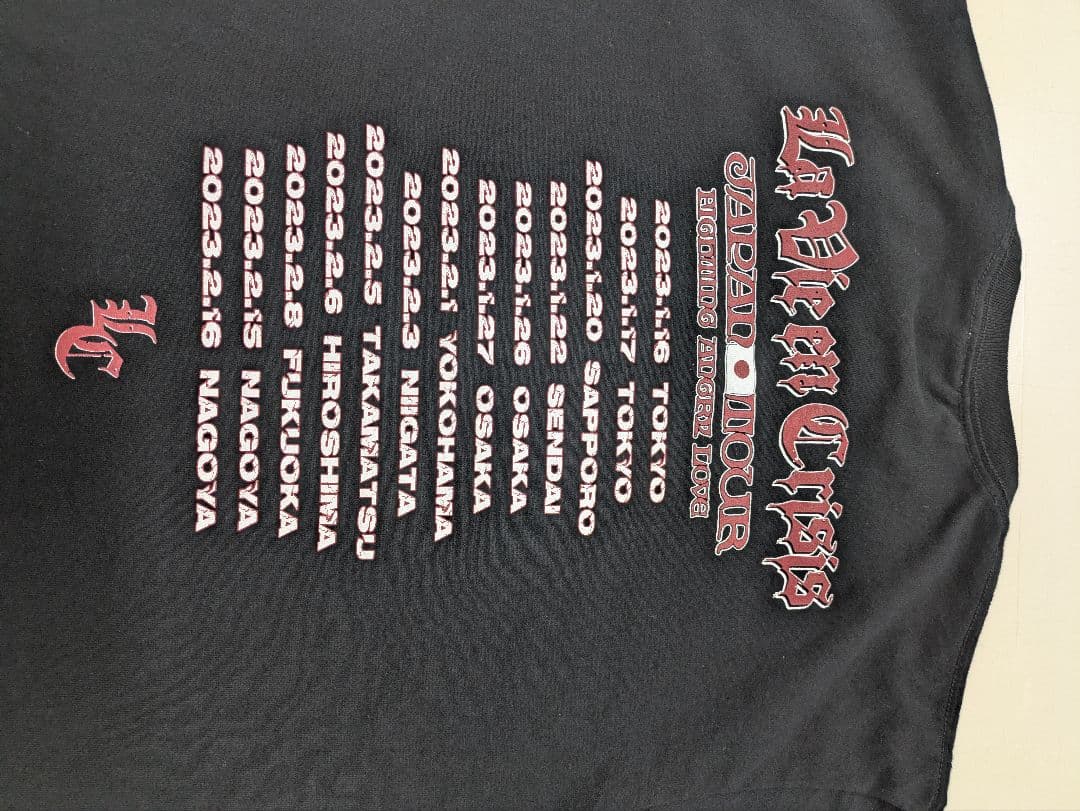 フォーリミ　ラビアンクライシスTシャツ Lサイズ ブラック