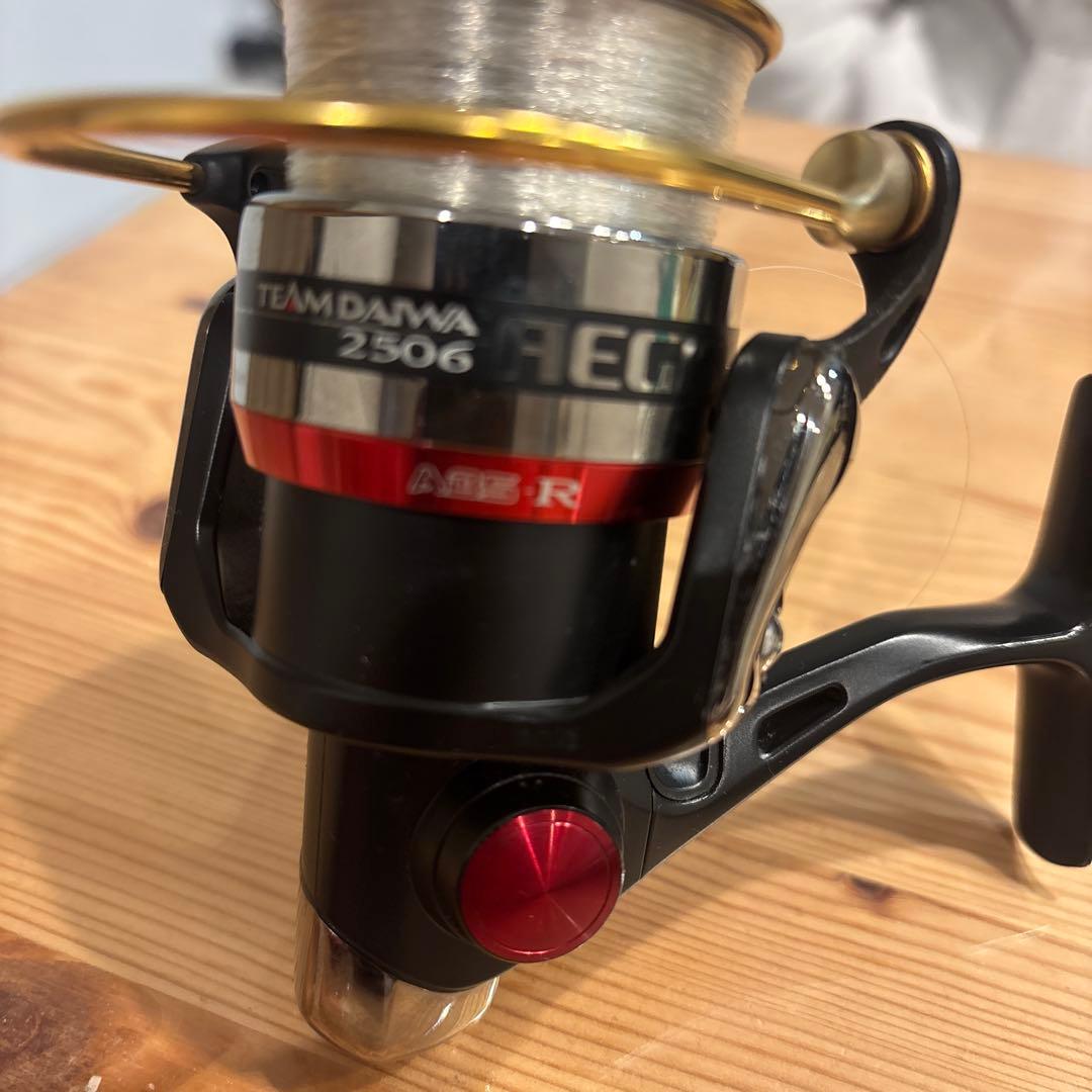 ダイワ TEAM DAIWA 2506 イージススピニングリール
