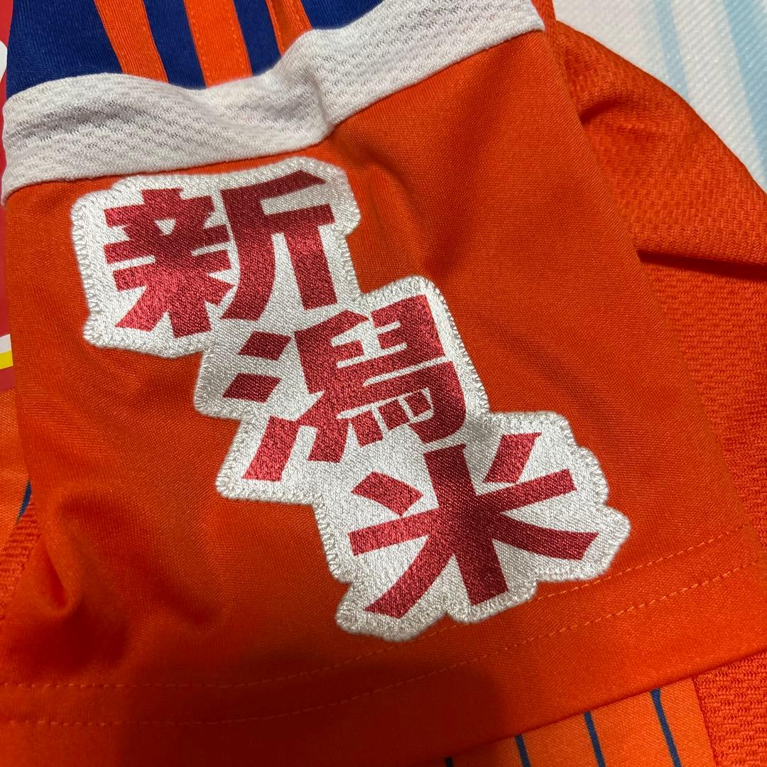 アルビレックス新潟