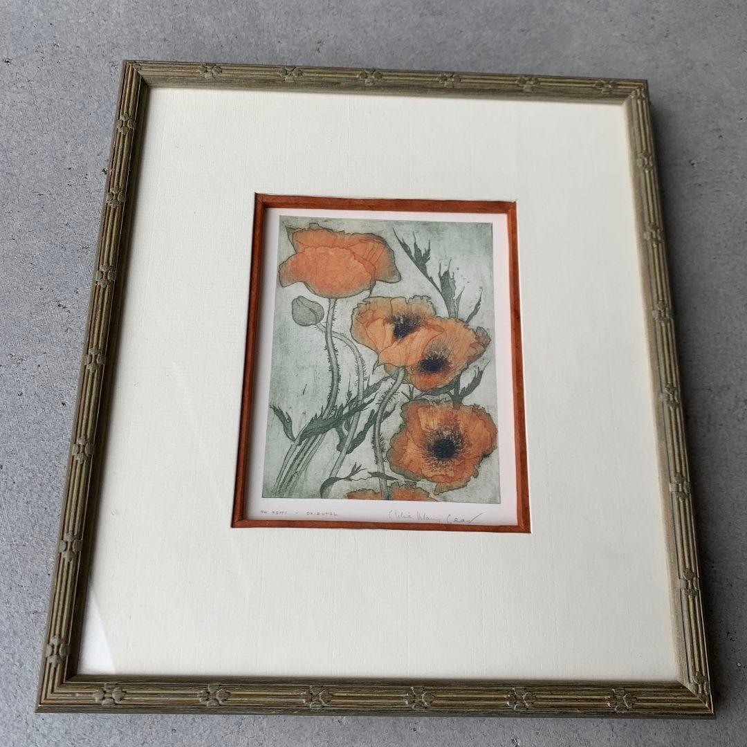 ボタニカルアート　植物画　ポピー　英国　イギリス　絵画　額　木製フレーム