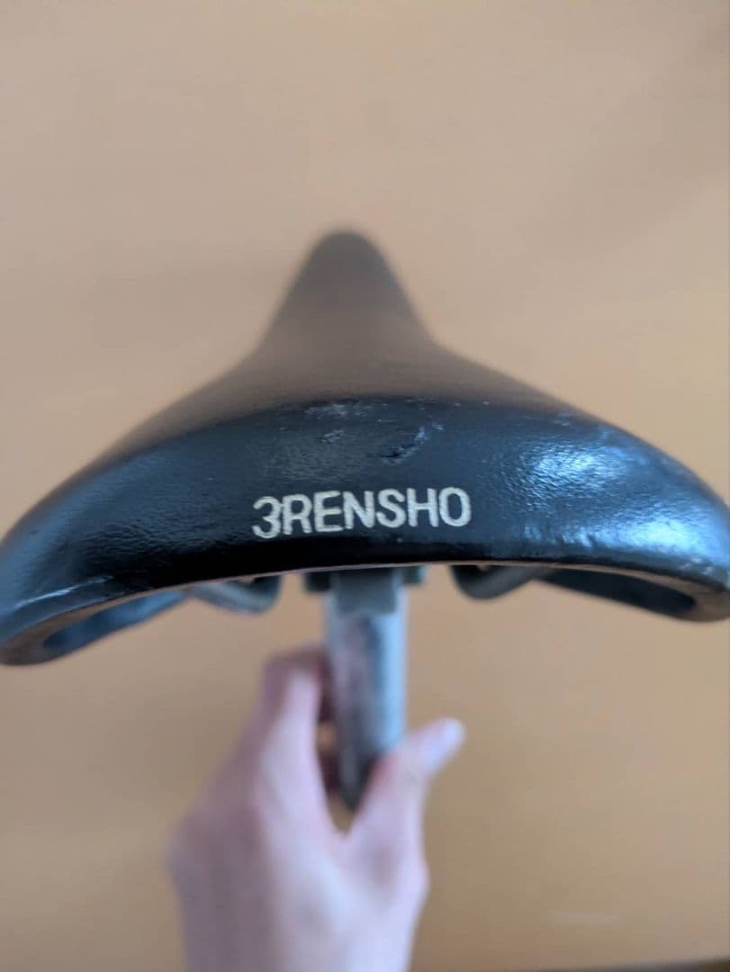 アリアケ　ジャガー2チャンピオン　3Renshoロゴ　NJS