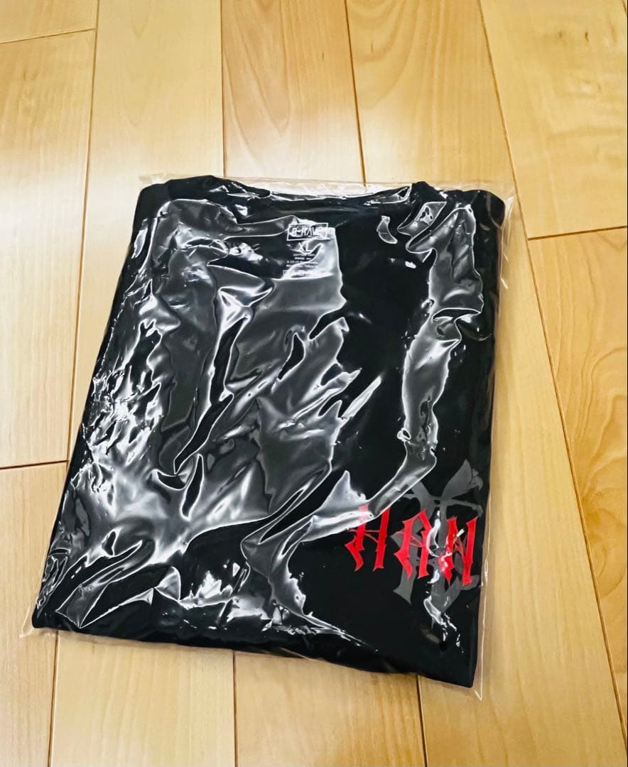ハナ新品未開封 HANA ロゴ　Tシャツ XLサイズ デビュー　エキシビジョン