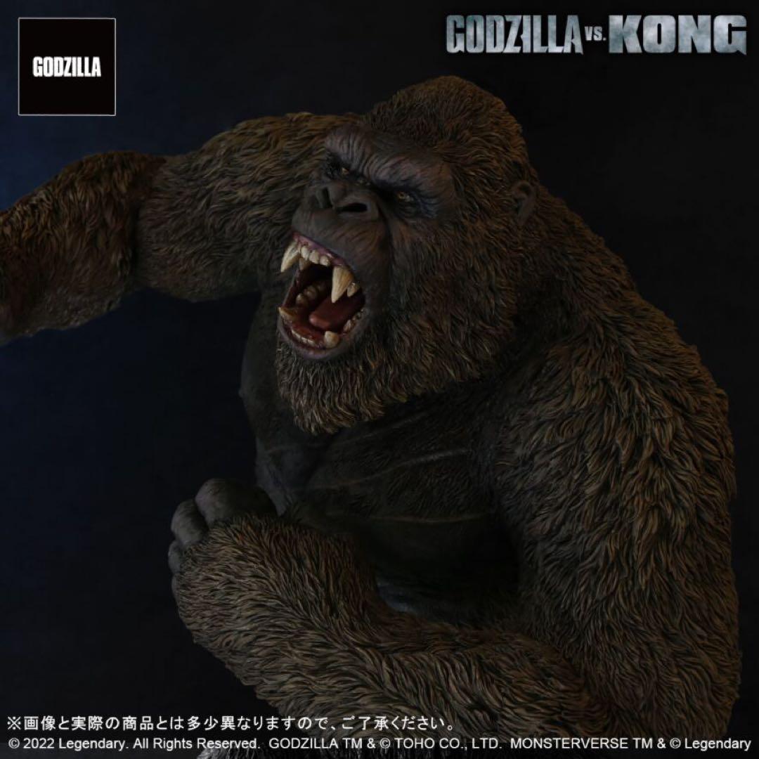 普*々様 KONG フィギュア ゴジラ vs コング (2021)