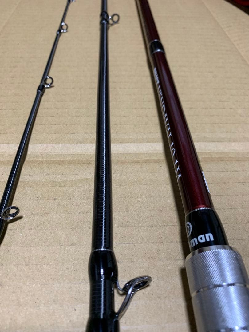 フィッシュマン BRIST VENDAVAL 10.1M