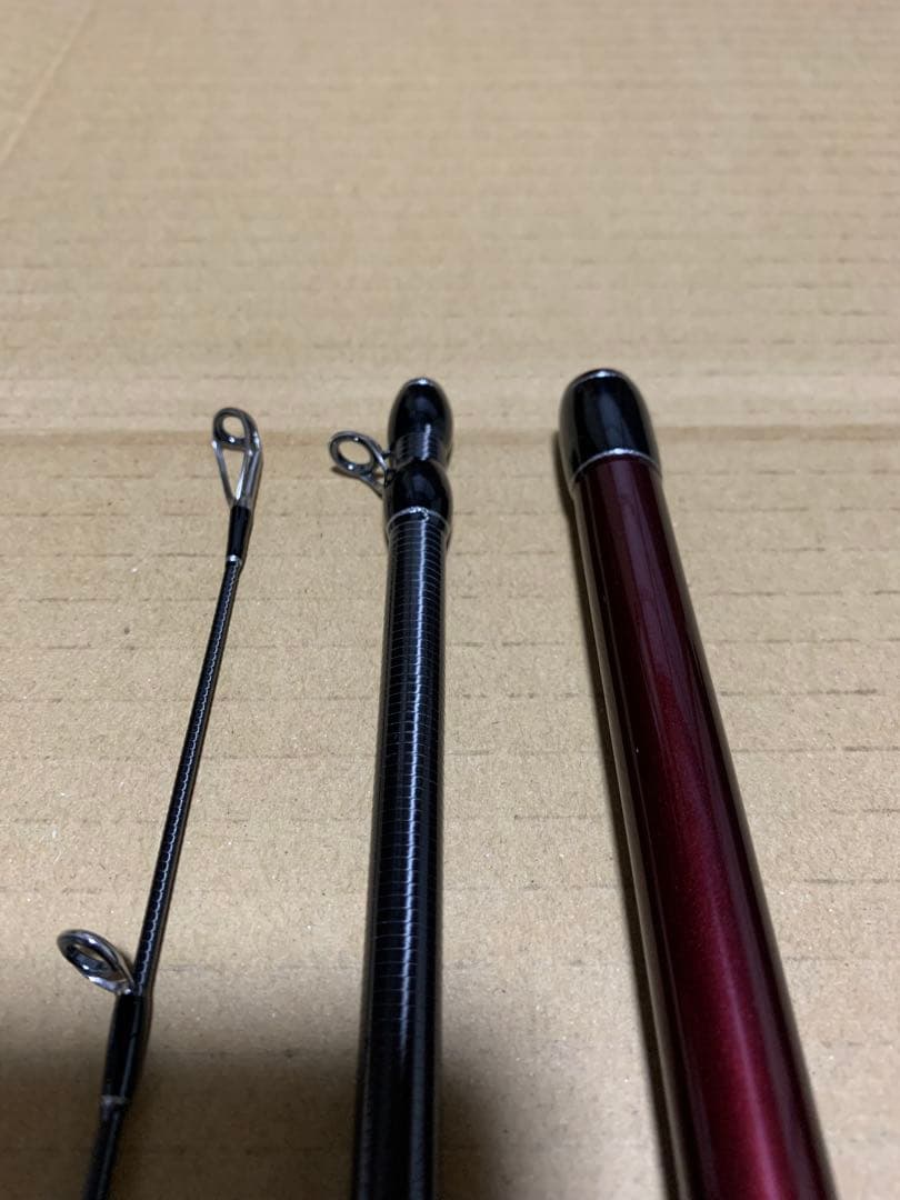 フィッシュマン BRIST VENDAVAL 10.1M