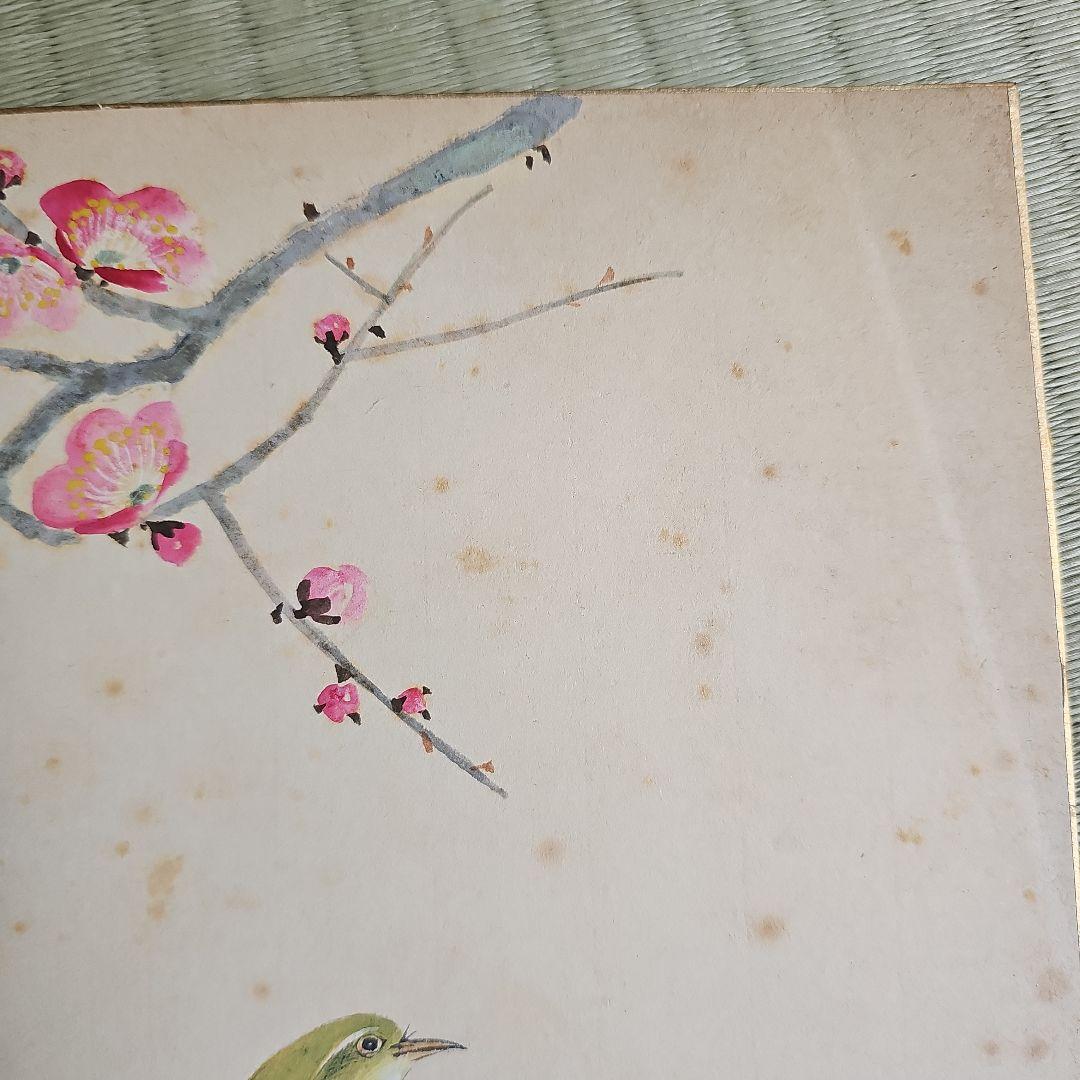 昭和レトロ/1950年代物】色紙 直筆 鶯谷 梅 鮎 桜桃 翠祥? 二枚