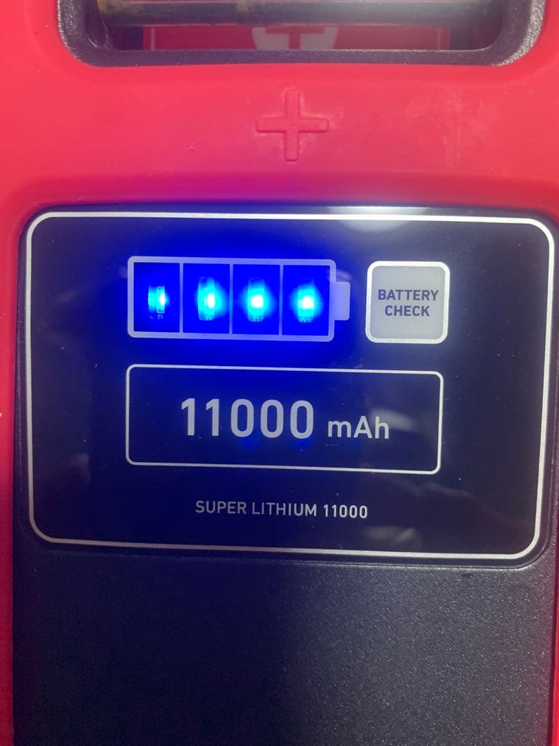 リール Daiwa SUPER LITHIUM 11000WP-C