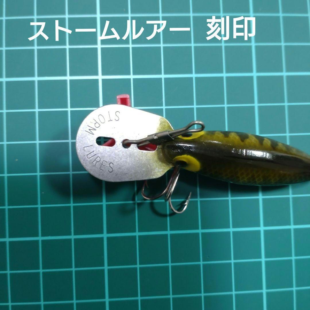 ◆ホッテントトスイフィン【ストーム社】超希少リップ前面裏面シリアルナンバー刻印入