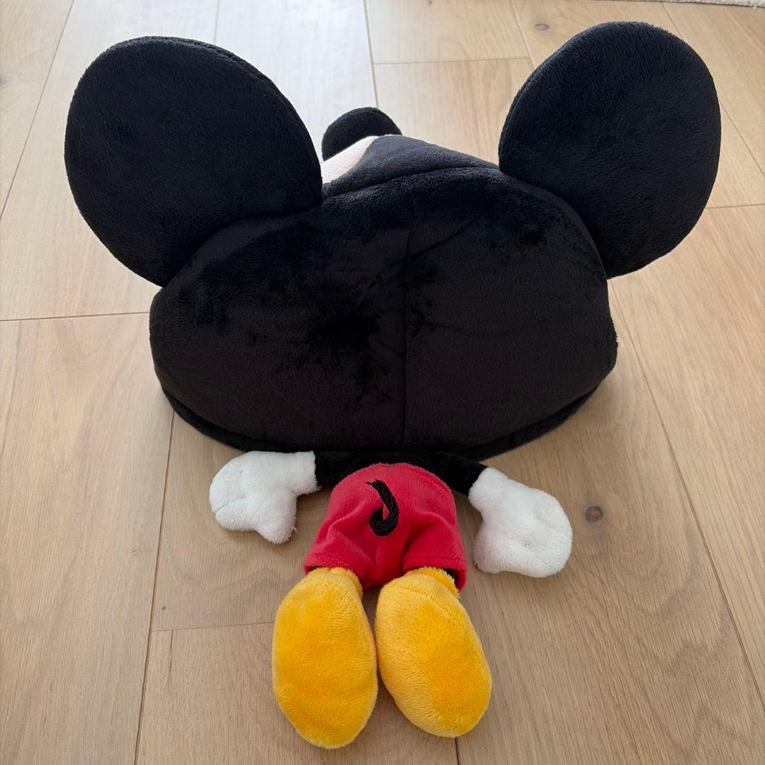 ❁ミッキー　ミニー　ファンキャップセット❁