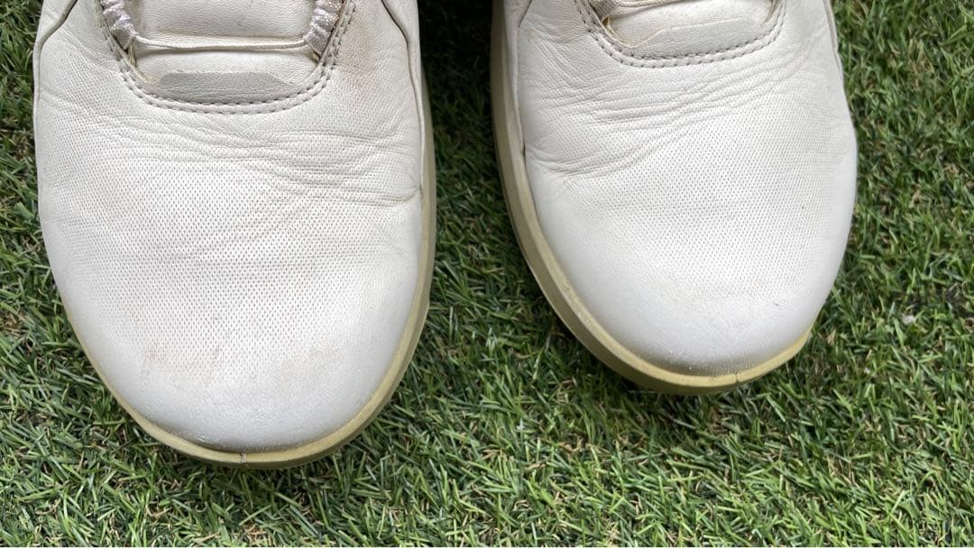 ECCO GOLF BIOM H4 BOA バイオム ハイブリッド４ ボア