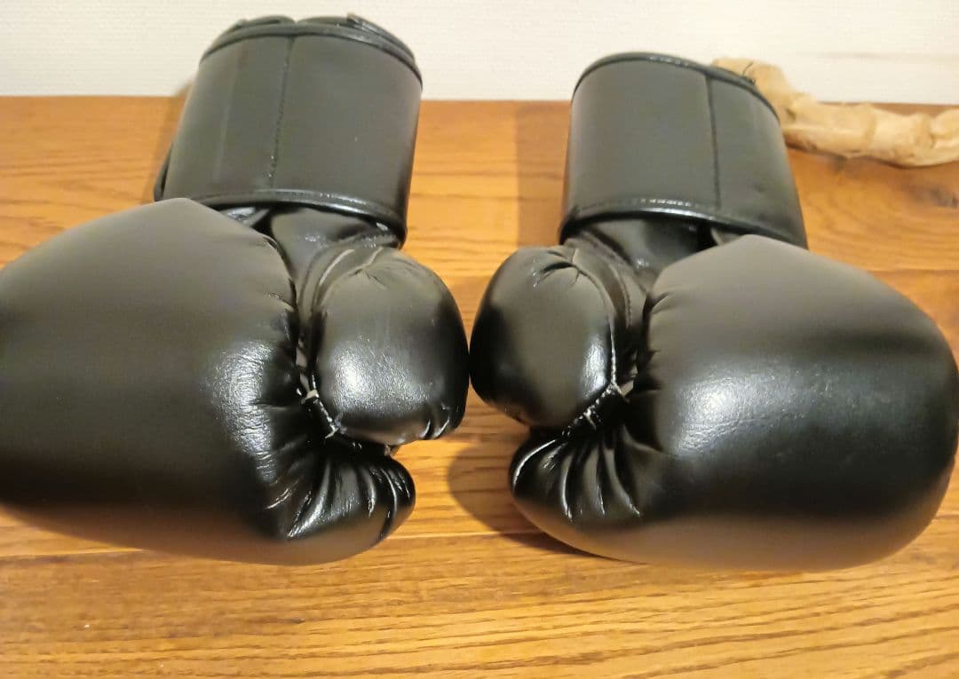 美品　ＦＬＹ ボクシンググローブ　正規品