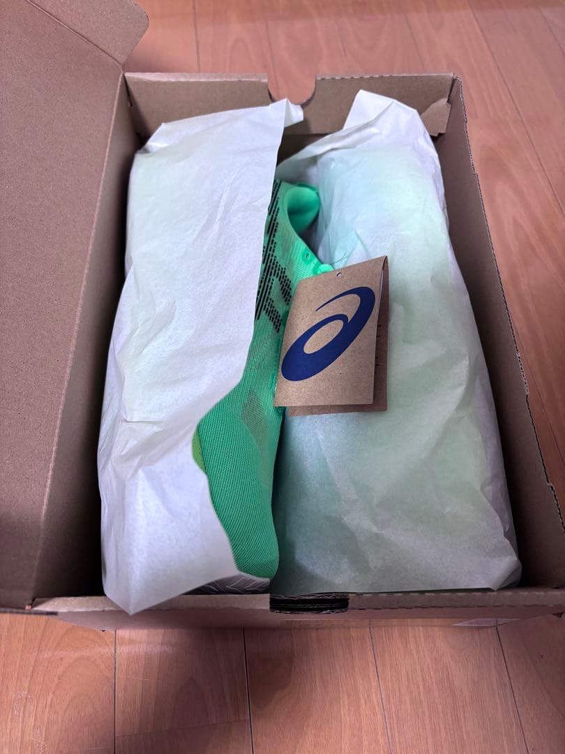 アシックスASICS NOVABLAST 5 27.5cm