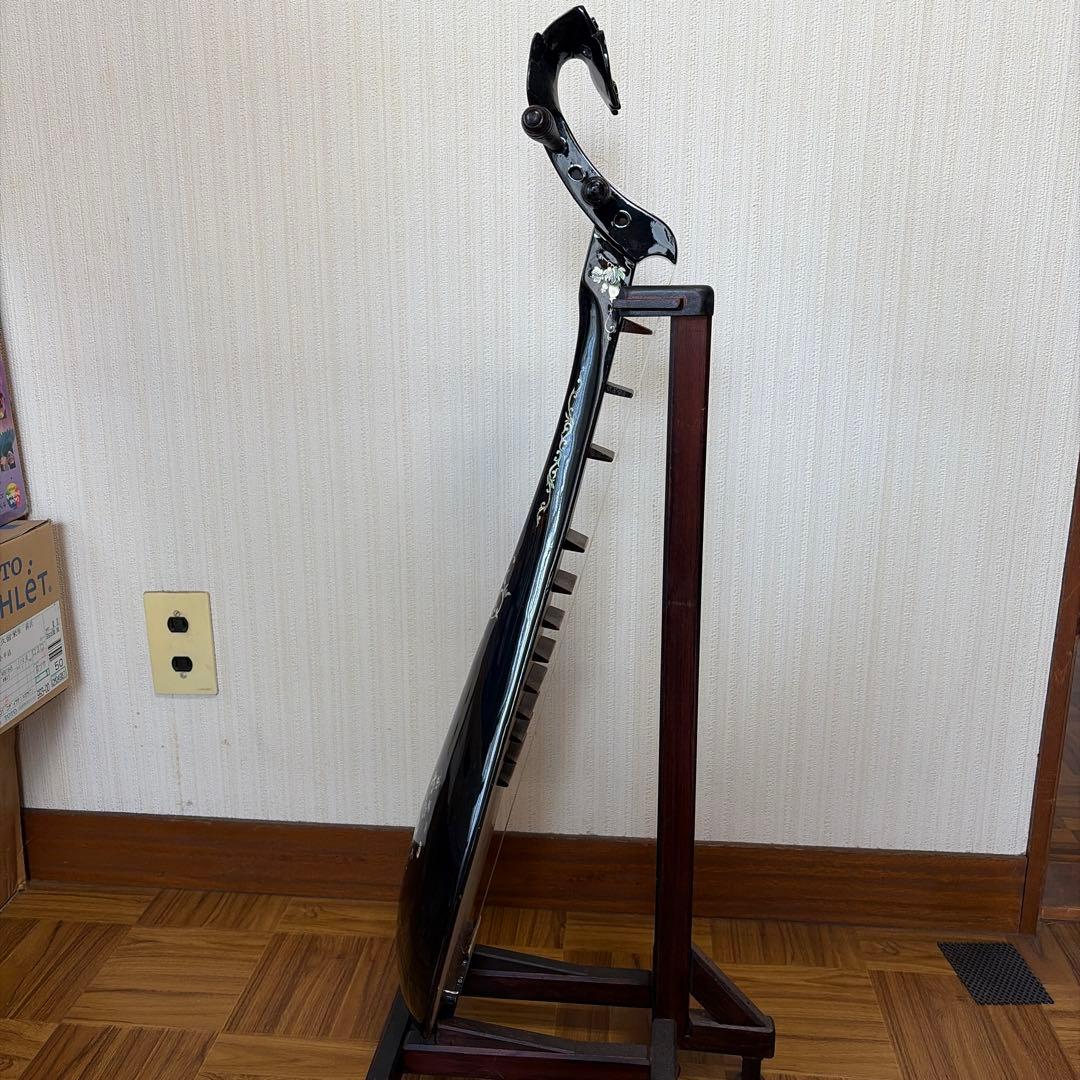 ベトナム琵琶