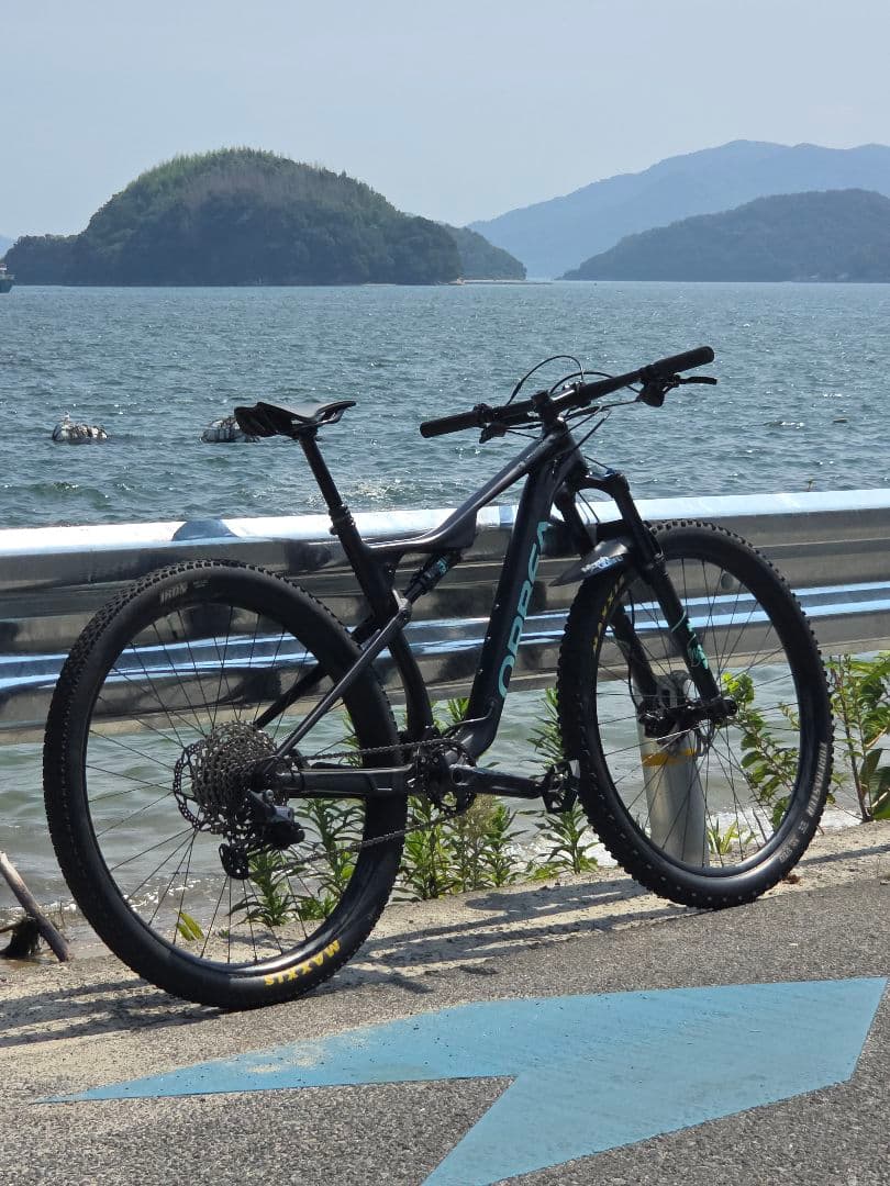 希少】マウンテンバイク　オルベア　2022 OrbeaOIZ H20　Lサイズ