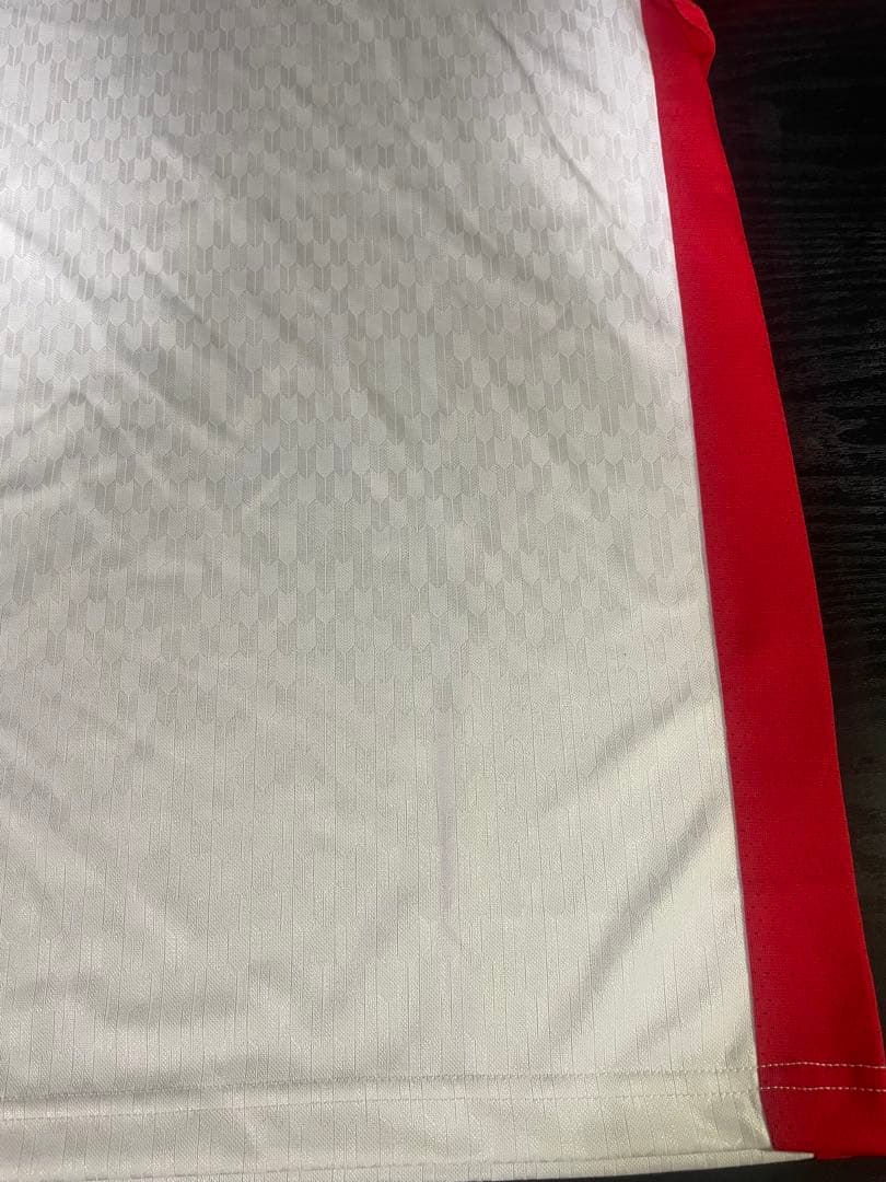日本代表　桃田賢斗モデル　YONEX バドミントンウェア Mサイズ ホワイト