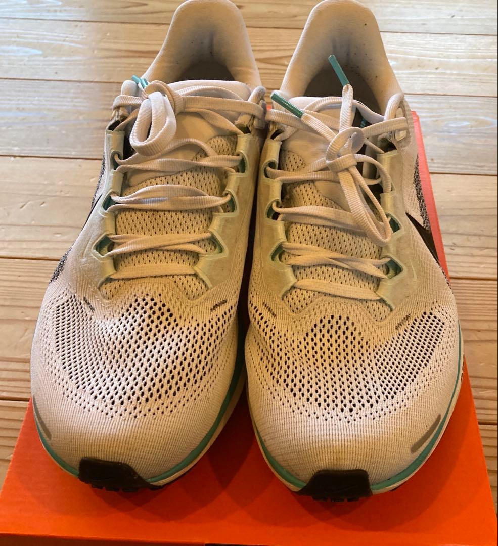 Nike ペガサス41 27cm