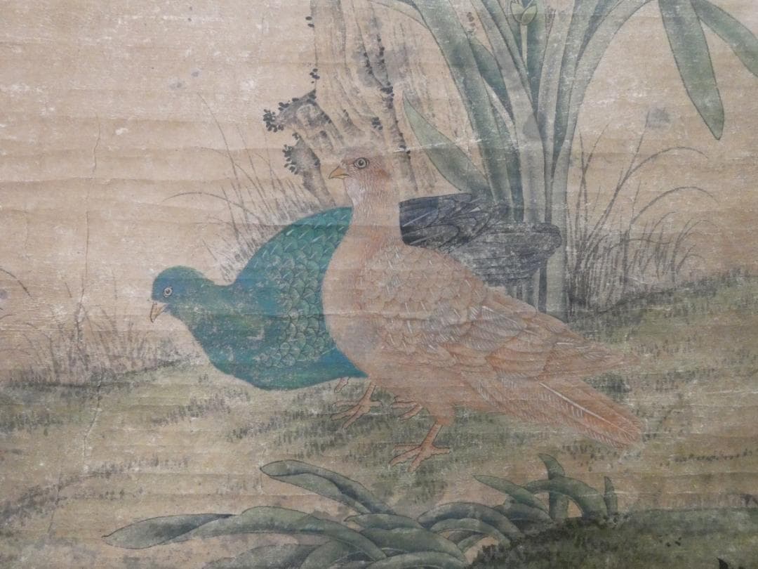掛け軸 美品 【 野口小頻 】 花鳥　掛け軸　箱無し 紙本