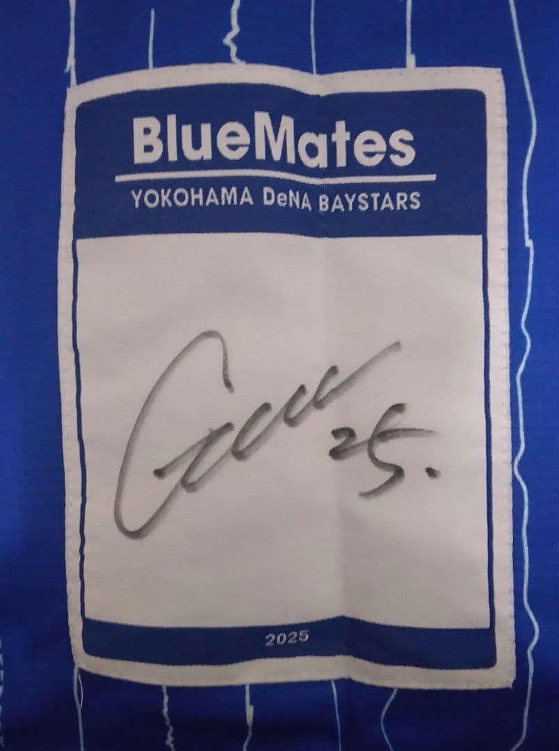 ベイスターズ　25 筒香嘉智　bluemates 直筆サイン入りユニフォーム